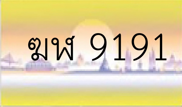 ฆฬ 9191